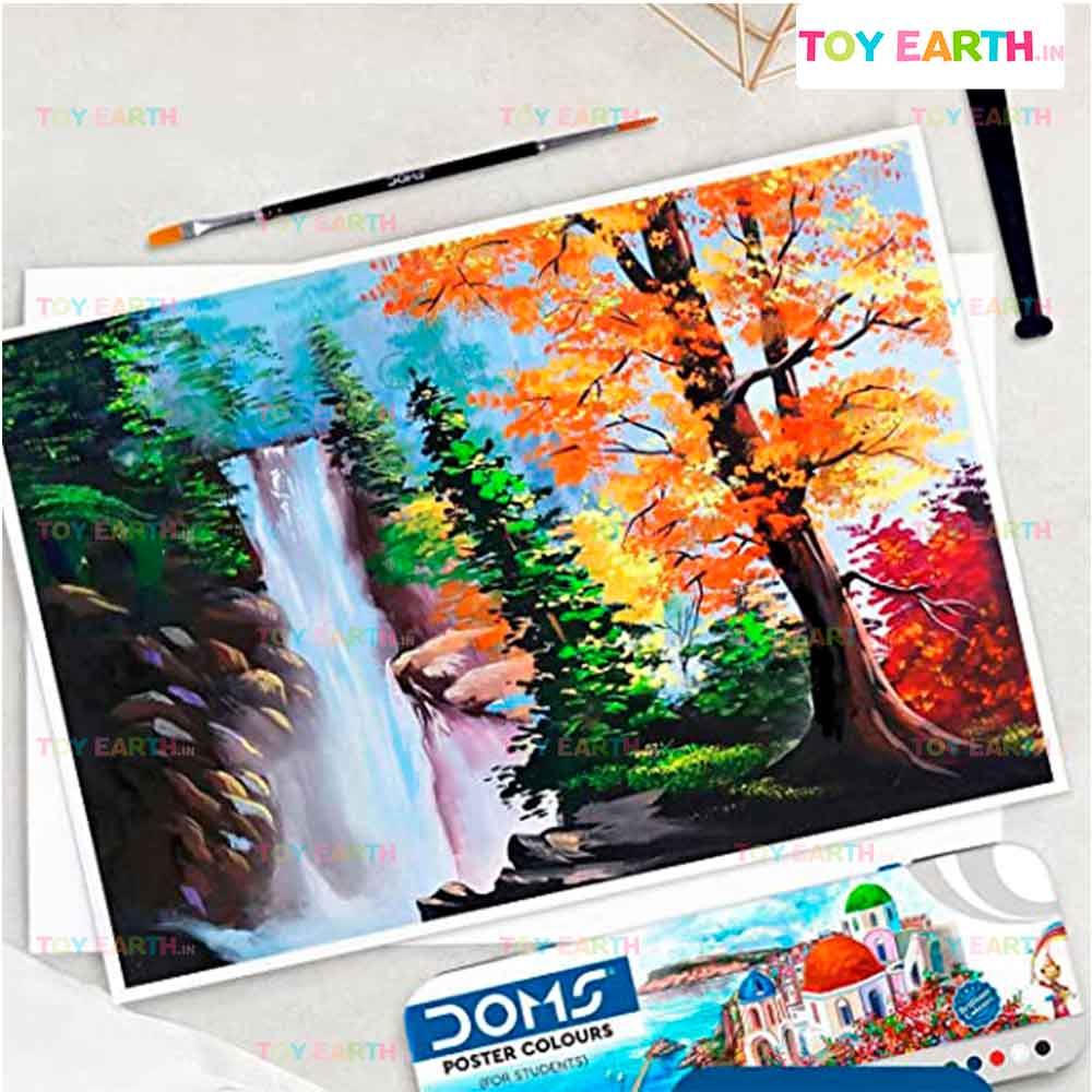 DOMS Poster Color For Students : Bets For Making Painting – Toy Earth