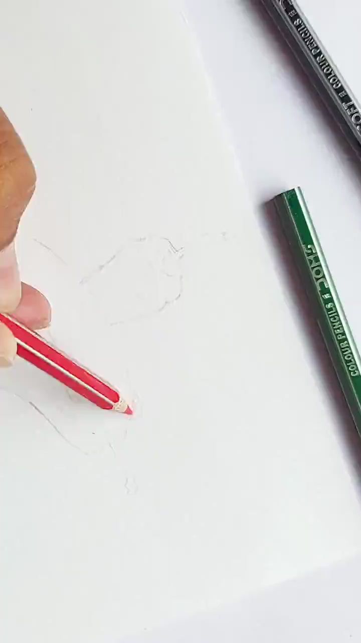 Beautiful Butterfly Drawing Tutorial - Doms Colour Pencils - YouTube